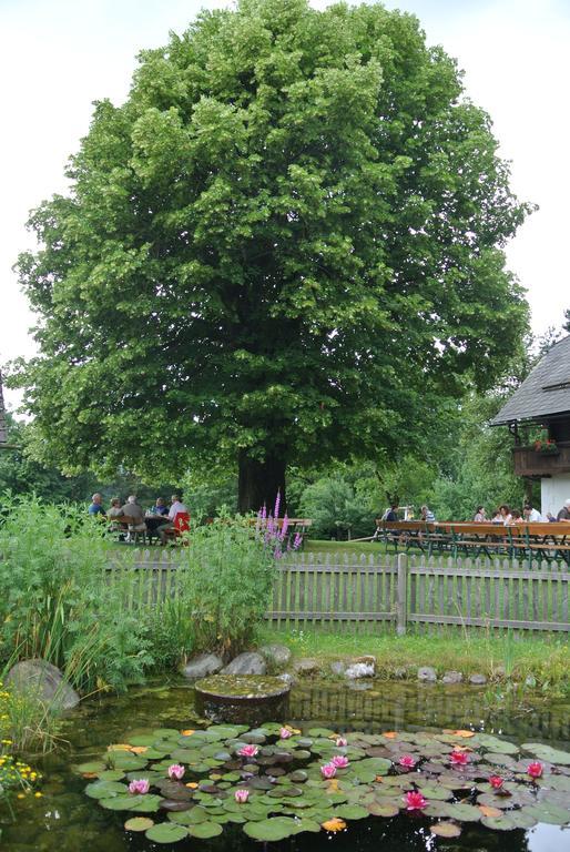 Appartment Bürger-Hinteregger Seeboden Exterior foto